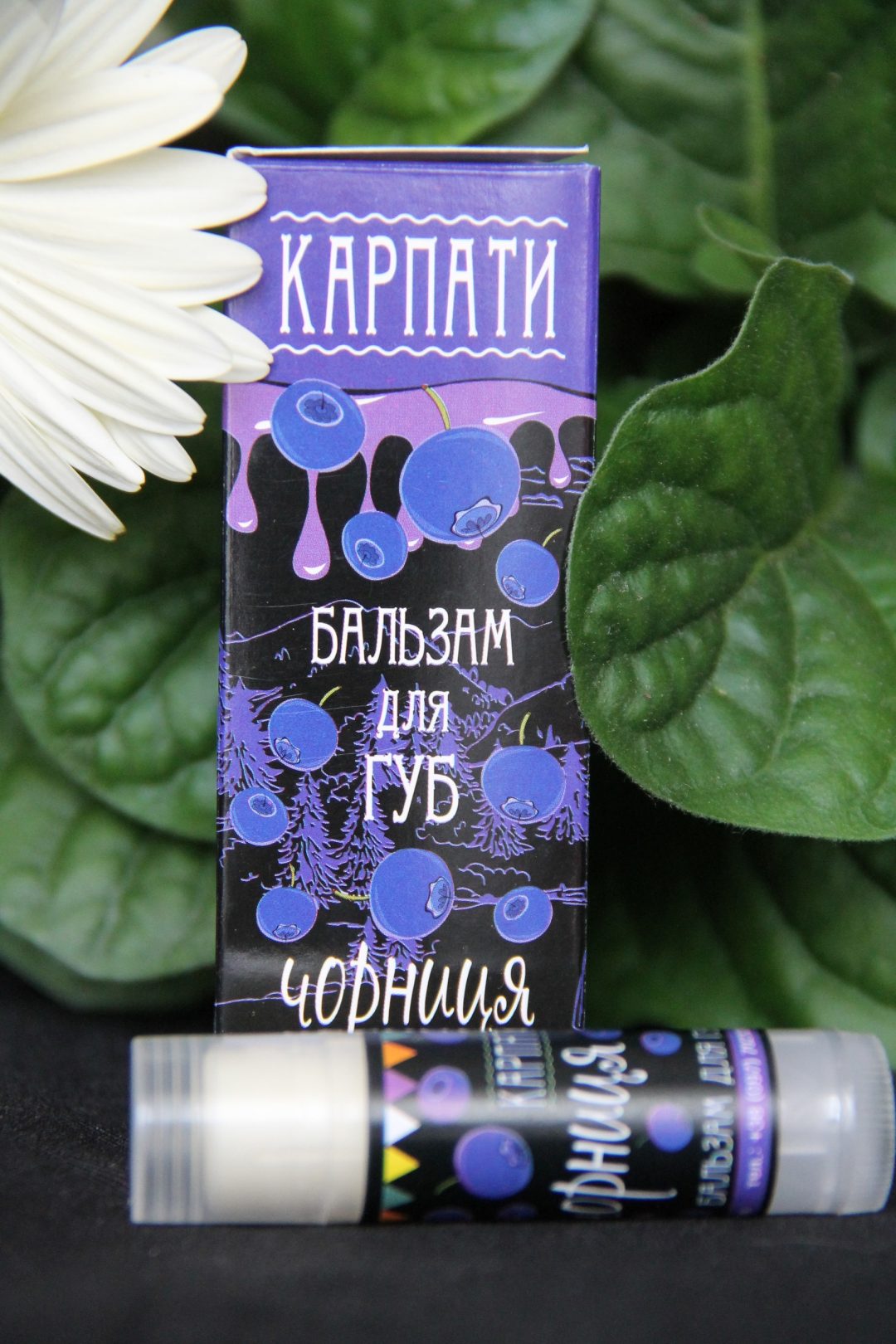 Гігієнічний бальзам для губ ЧОРНИЦЯ – Краса Карпат – косметика від природи